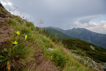 footpath in the mountains