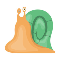 Animal snail vector icon.Cartoon vector icon isolated on white background animal snail.