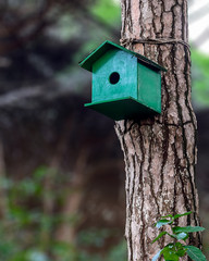 A green bird house installed in the tree in the forest.	