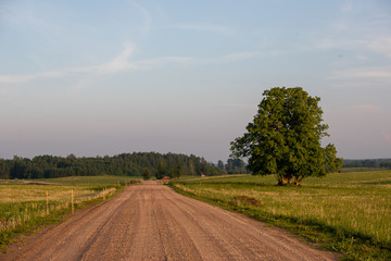road in the field