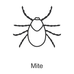 Mite vector icon.Line vector icon isolated on white background mite .