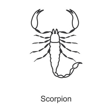 Scorpion vector icon.Line vector icon isolated on white background scorpion.