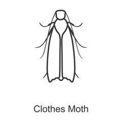 Moth vector icon.Line vector icon isolated on white background moth.