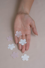 Texture flowers lace fabric. decir flowers on white background studio. thin fabric made of yarn or thread. a background image of ivory-colored lace flowers forcloth. White flowers on beige background.