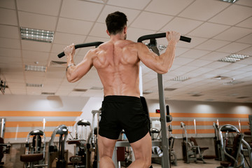 In a modern gym muscular man doing exercises for his triceps concentrated working hard