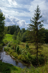 summer landscape with river 