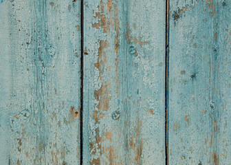 Blue wooden wall, old wood planks texture, grunge background, abstract interior design 