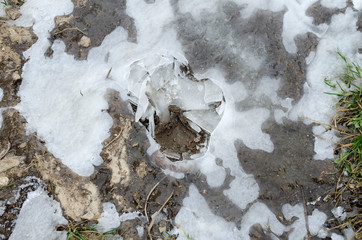 Broken ice crust on frozen puddle in winter day. Natural background - broken ice crust on frozen puddle in cold winter day