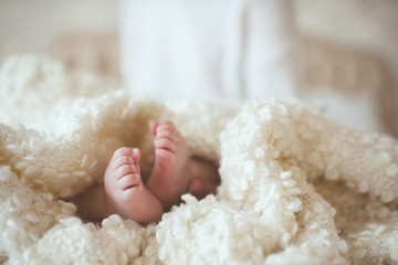 Baby feet closeup wrapped in warm cozy fluffy blanket in bed. Motherhood. Maternity. Good morning.
