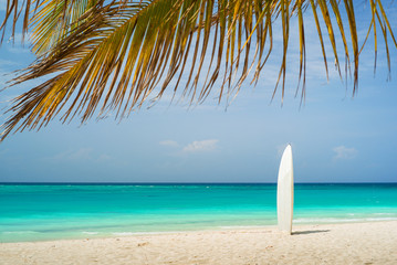 alone surfing board on the beach under palm leaves on Zanzibar island in Tanzania