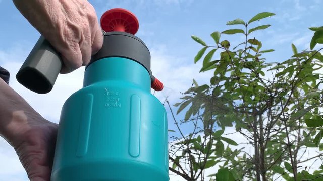 Gardener spraying fruit trees and bushes against plant diseases and pests using spray bottle withinsecticide solution in the garden, close up, low angle
