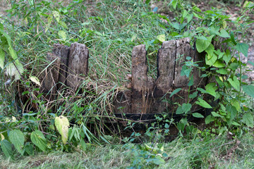 Paysage de Tarn et Garonne