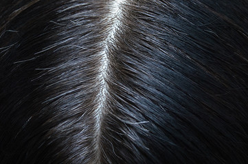 Head of a woman with black gray hair close-up. View from above.