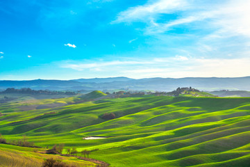 Fototapeta premium Tuscany panorama, rolling hills, trees and green fields. Italy
