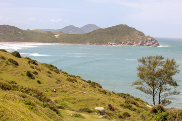 Fototapeta premium Landscape of the beach seen by the trail from Praia do Luz to Praia do Rosa