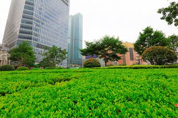 Fototapeta na wymiar CBD Scenery of Shanghai Lujiazui, Shanghai, China