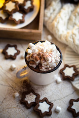 Comforting Christmas food, mug of hot cocoa with marshmallow and cookies with cozy lights