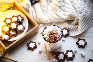 Comforting Christmas food, mug of hot cocoa with marshmallow and cookies with cozy lights