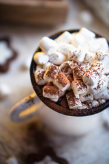 Comforting Christmas food, mug of hot cocoa with marshmallow and cookies with cozy lights