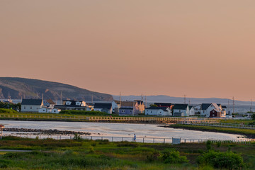 Obraz premium Community