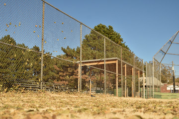 Obraz premium On the diamond