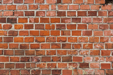 Obraz premium Dekorative alte Backsteinmauer