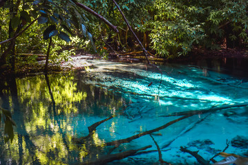 Beautiful cyan water of the Emerald pond in the middle of the wild jungle in Krabi Thailand Asia