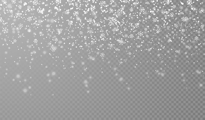 Falling snowflakes on transparent background. Christmas snow. Vector illustration