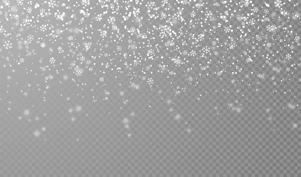 Falling snowflakes on transparent background. Christmas snow. Vector illustration
