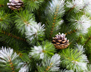 Beautiful Christmas tree green needles covered with snow and natural pine cones. Artificial spruce branch for decoration New Year and Christmas holiday