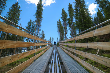 Symmetrical roller coaster