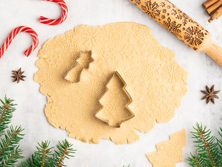 Gingerbread cookies, christmas tree shape, fir tree branches, anise stars and cinnamon sticks, red candy canes and sugar powder frame. Winter and christmas card, white background.