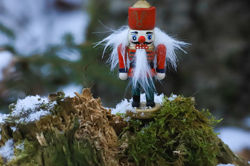 Nutcracker in a winter scene
