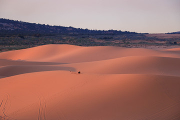 sunset in the desert coral pink sand dunes Utah 