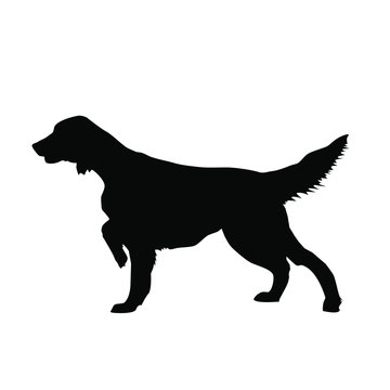 Black silhouette of a dog 