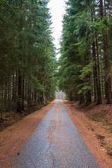 Fototapeta premium Foggy road through the forest to Javorník lookout tower. Autumn color and mood. Javornik/Šumava, Czech Republic