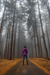 Fototapeta premium Foggy road through the forest to Javorník lookout tower. Autumn color and mood. Javornik/Šumava, Czech Republic