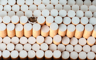 cigarette filter background, rows of cigarettes, background of cigarettes in rows