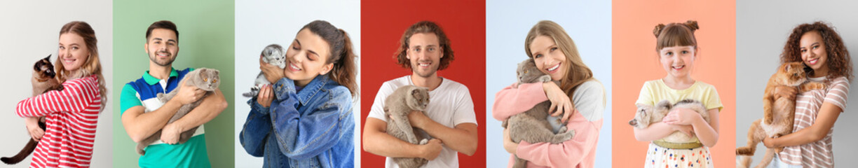 Collage with different people and their cute cats on color background © Pixel-Shot