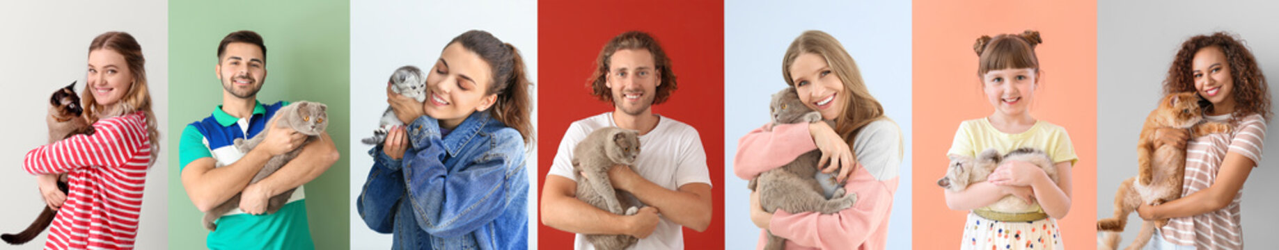 Collage with different people and their cute cats on color background