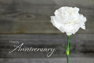 Wedding anniversary card with white carnation flower