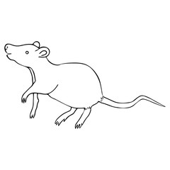White metal rat. Colorless background. Chinese New Year. Eastern calendar. Coloring book for children. Holiday print.