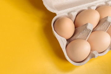 chicken eggs close-up isolated on white background in cardboard box for transportation