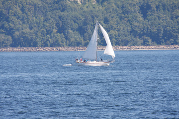 Fototapeta premium Sailing