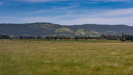 Obraz premium Melbourne, Australia - November 15, 2009: Outside city near Mount Dandenong. Wide landscape with green meadow and forested hills in back under blue cloudscape. 