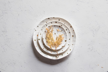 Beautiful plates on a white background with dried plant. Beautiful layout