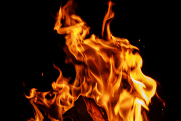 Fire. Burning firewood in the fireplace close up.