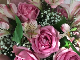 exture of flowers in delicate pink tones and green grass. Mobile photo in natural daylight. 