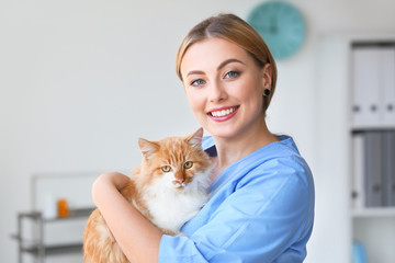 Female veterinarian with cute cat in clinic - Powered by Adobe