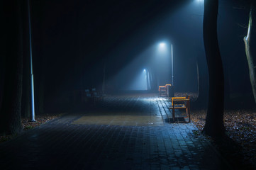 Fog. Night. Park. Alley. The lights are on. - Powered by Adobe